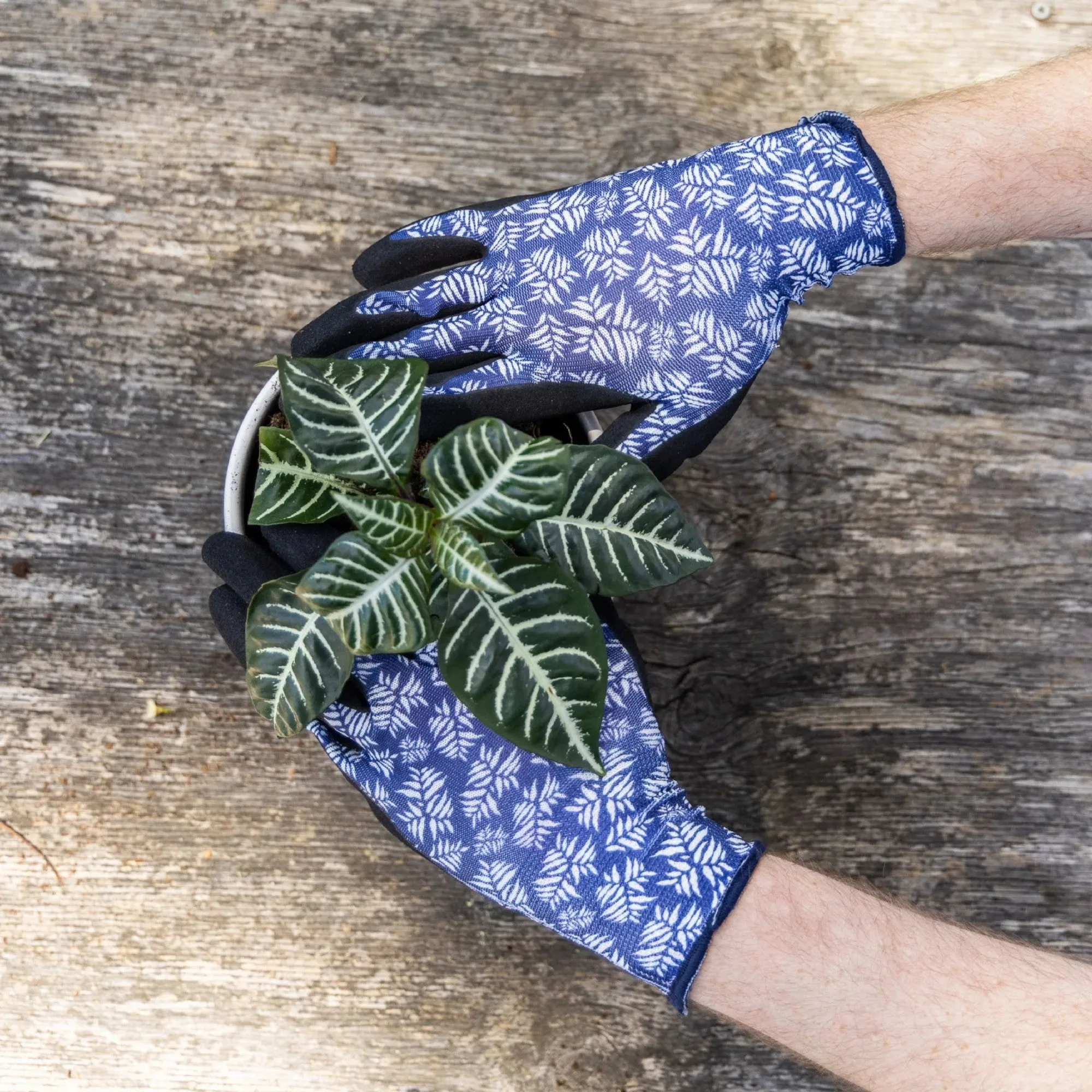Cyclone Gloves Fern Large