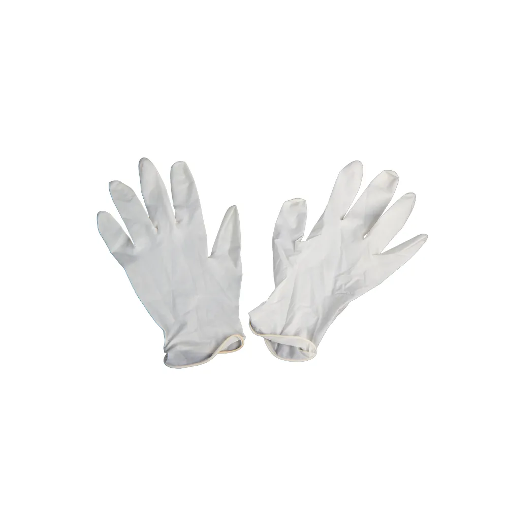 Latex Powder Free Gloves