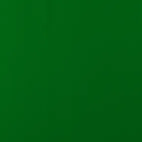 Novelty Polyester Solid - 221 - Green