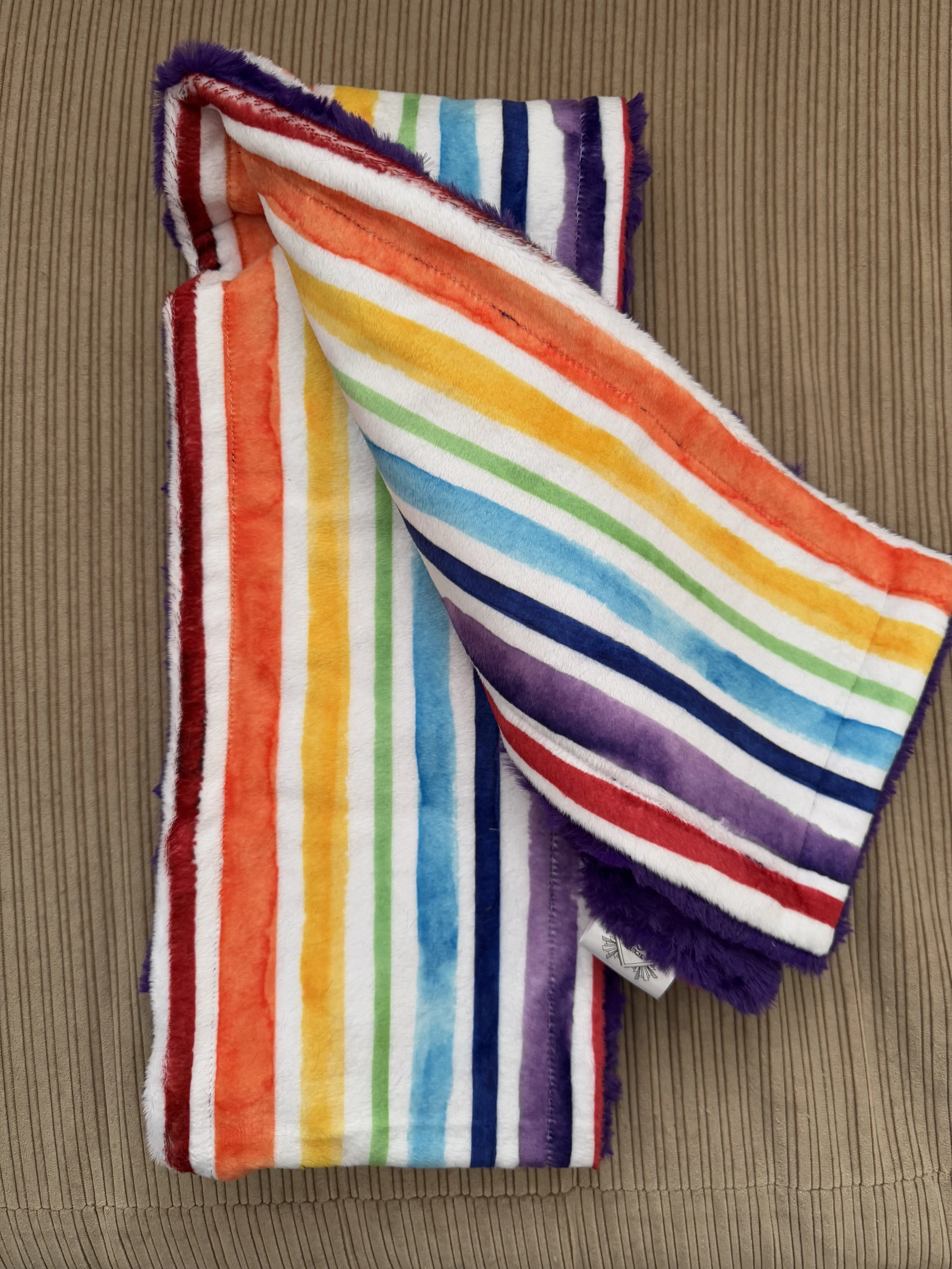 Rainbow Print & Viola Willow MInky Scarf